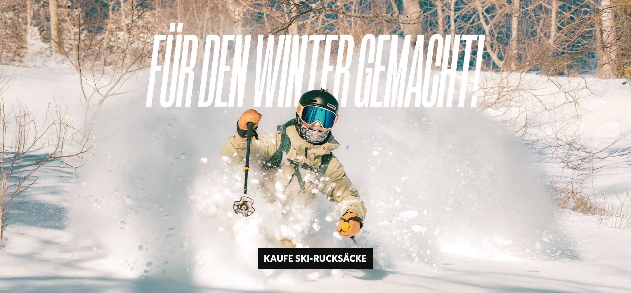 Ski rucks&auml;cke